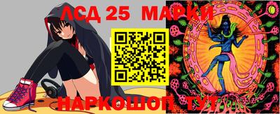 гашик Бийск