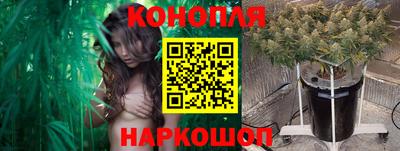 гашик Бийск