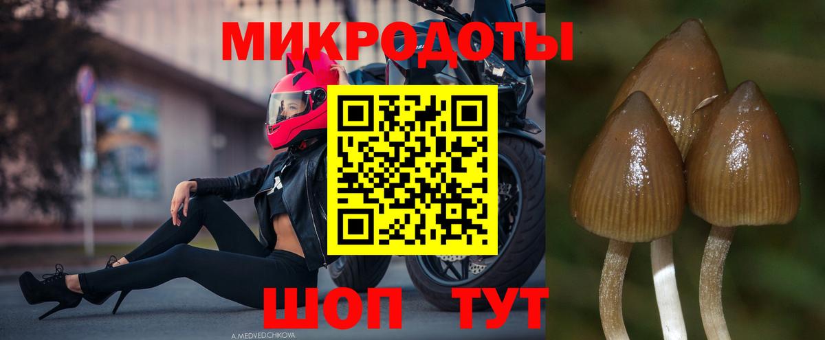 наркотики  Псилоцибиновые грибы GOLDEN TEACHER  Вход с VPN  Кириши 